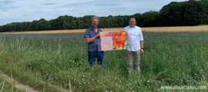 absatzplus übernimmt die Patenschaft für eine regionale Bienenweide